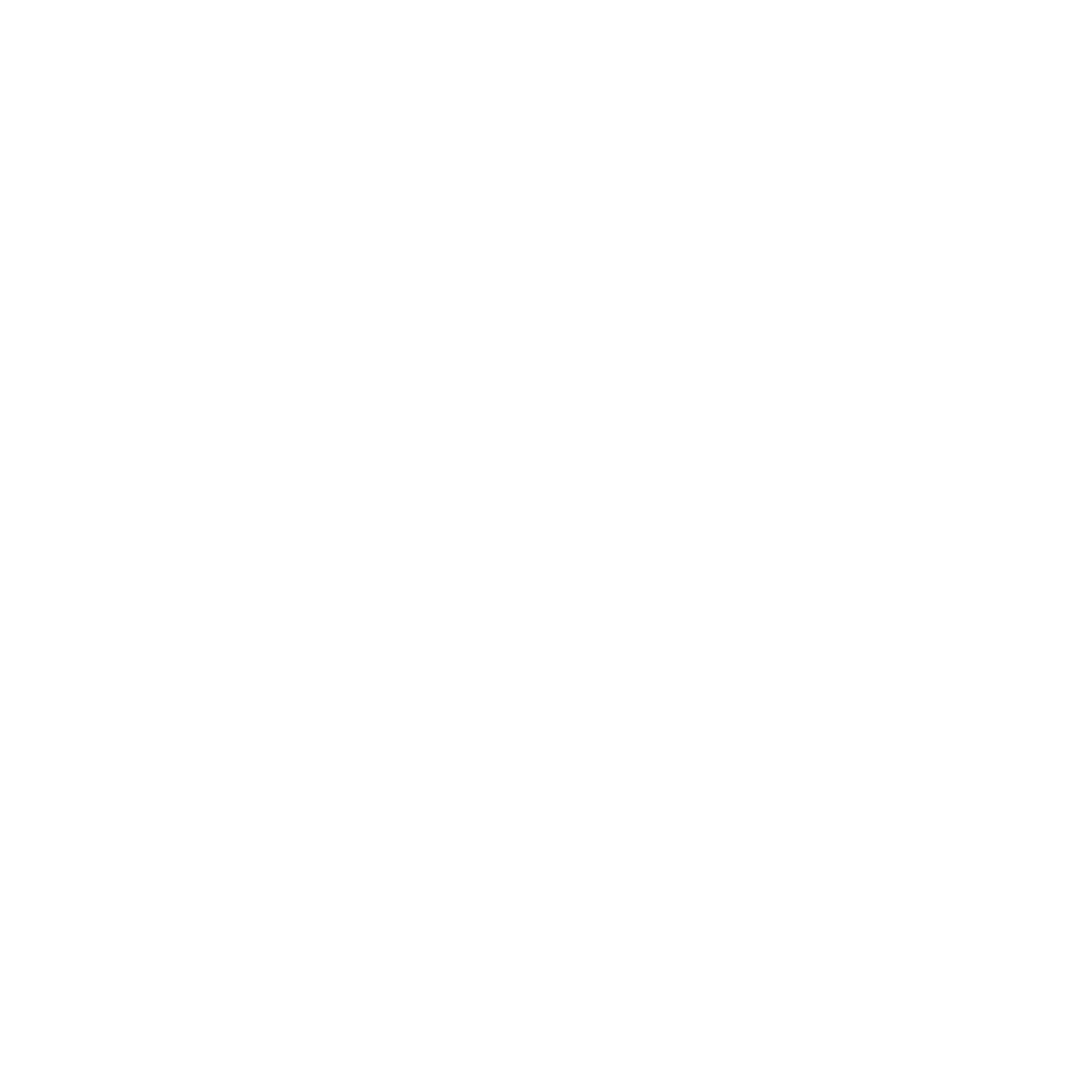 Flows Festival