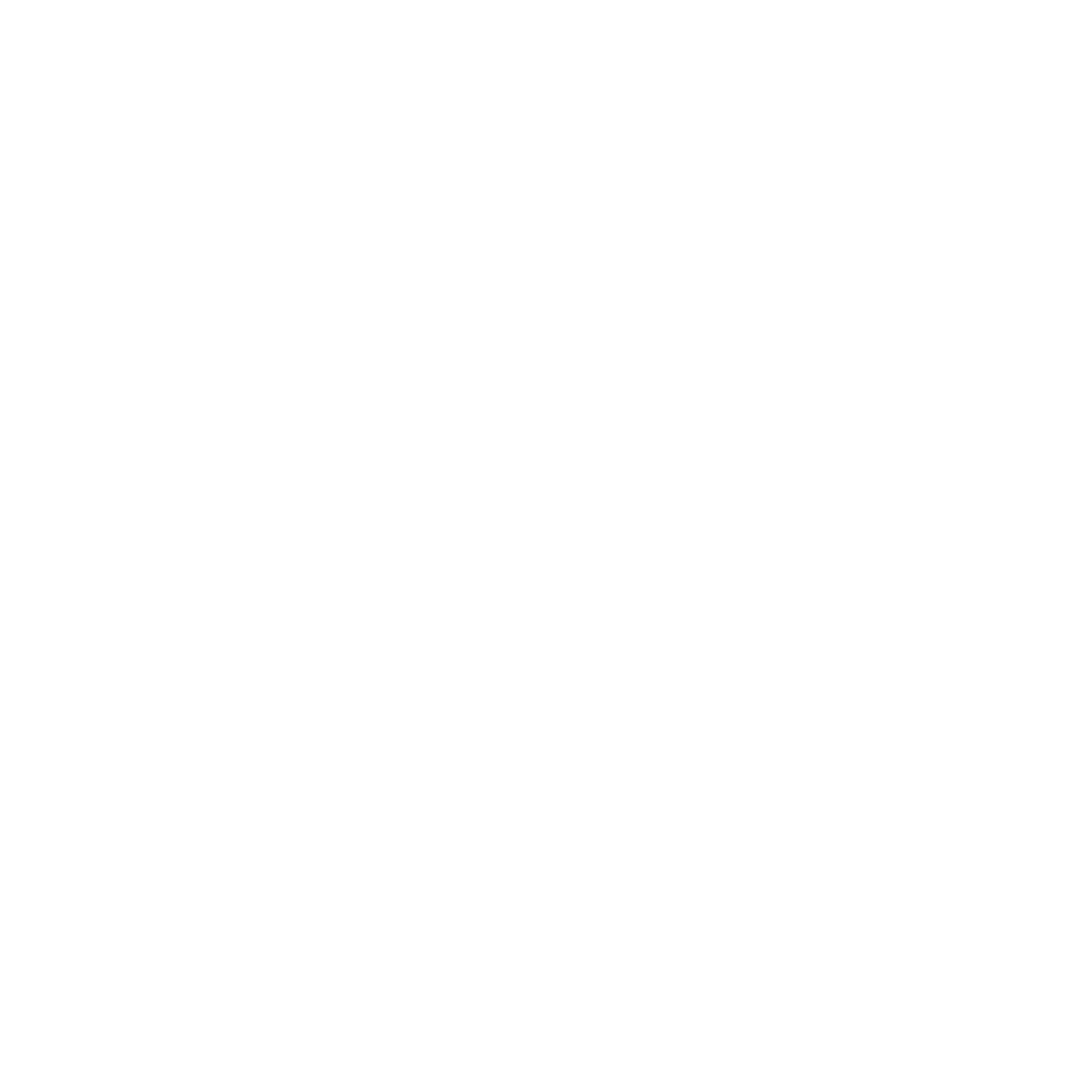 Flows Festival